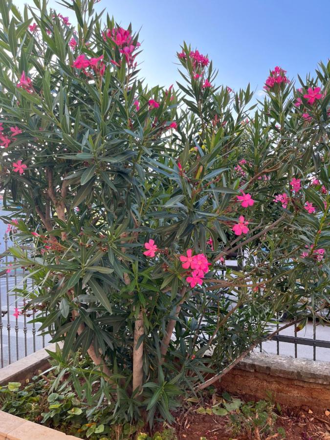 Apartment A & N With Free Private Parking بولا المظهر الخارجي الصورة
